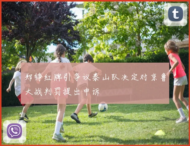 郑铮红牌引争议泰山队决定对京鲁大战判罚提出申诉